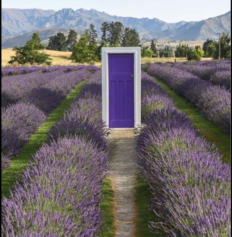 Queenstown: Wanaka & Arrowtown Guided Private Day Tour - Introduction