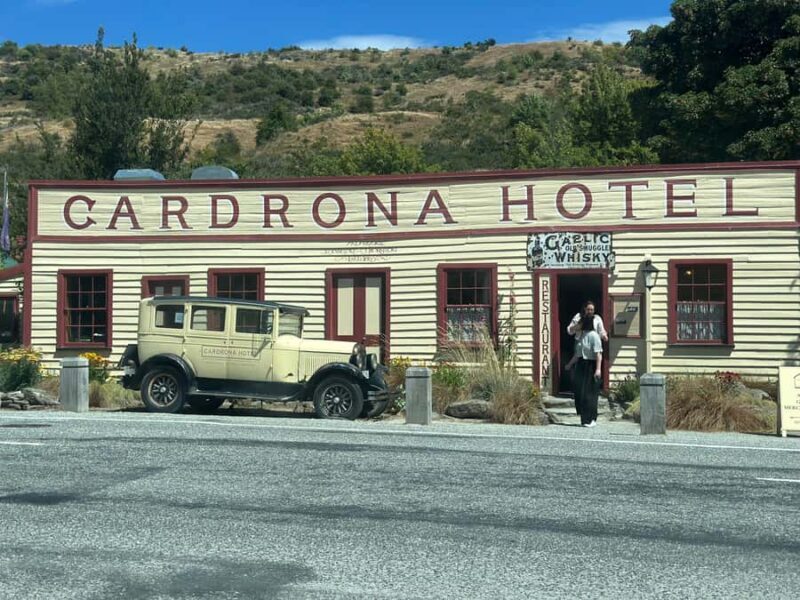Queenstown: Wanaka & Arrowtown Guided Private Day Tour - Wanaka and the Iconic #ThatWanakaTree