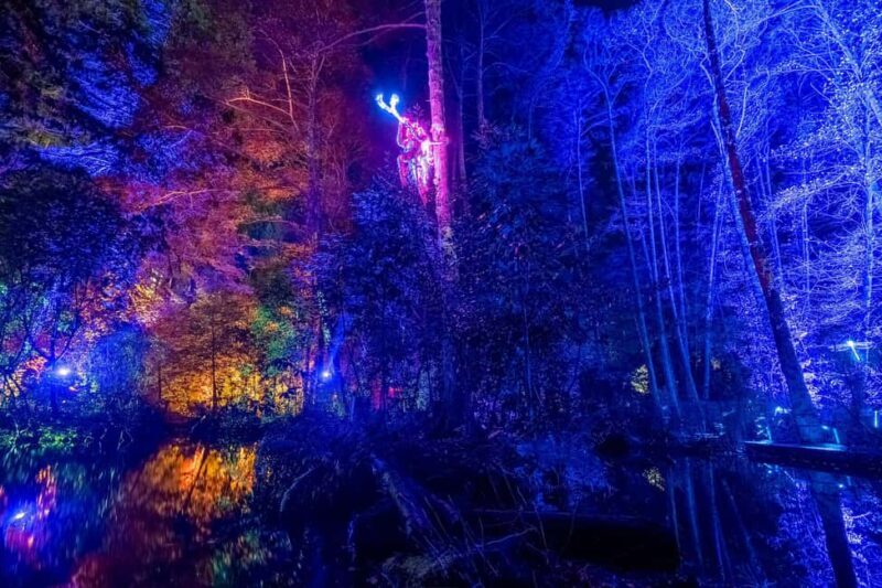 Queenstown: Whimsical Sensory Night Walk at LUMA Enchanted - Key Points