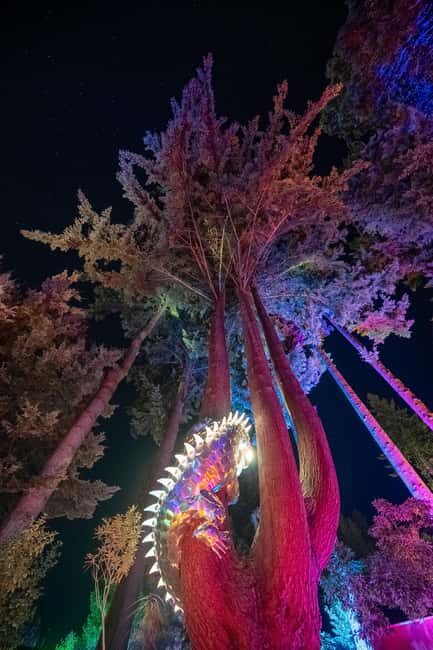 Queenstown: Whimsical Sensory Night Walk at LUMA Enchanted - Authentic Experience? What Visitors Say