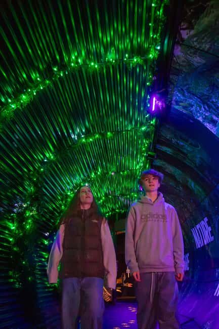 Queenstown: Whimsical Sensory Night Walk at LUMA Enchanted - Who Will Love This Experience?