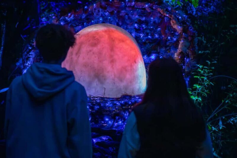 Queenstown: Whimsical Sensory Night Walk at LUMA Enchanted - The Sum Up