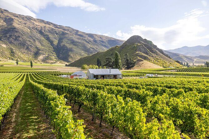 Queenstown Wine & Food Tour: Scenery, Tastings & Delicious Lunch! - The Sum Up