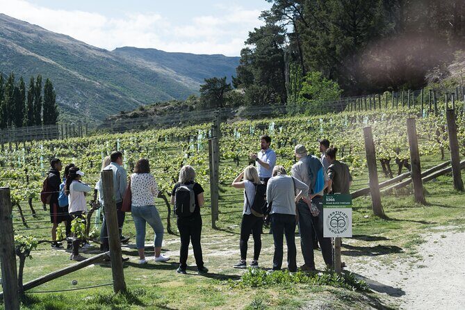 Queenstown Wine Tour with Wine Dog | Adults Only - Key Points