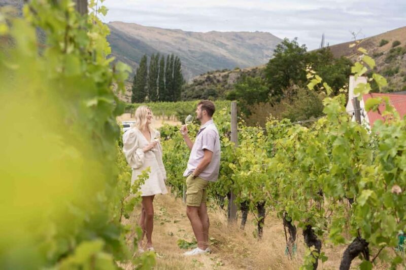 Queenstown's Original Wine Tour Celebrating 33 Years - Final Thoughts