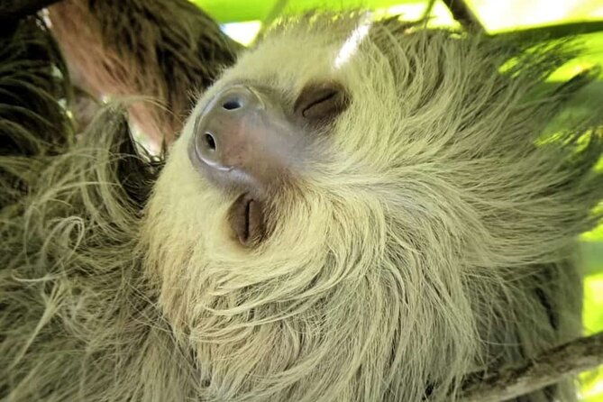 quepos-manuel-antonio-park-nature-guided-tour