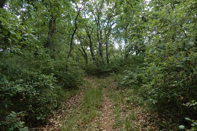 querceti-di-quasano-excursion-in-the-alta-murgia-national-park