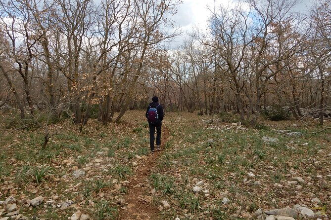querceti-di-quasano-excursion-in-the-alta-murgia-national-park