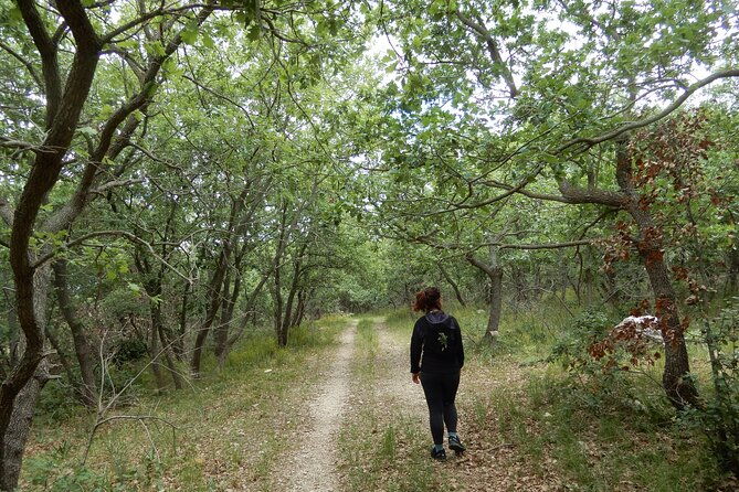 querceti-di-quasano-excursion-in-the-alta-murgia-national-park