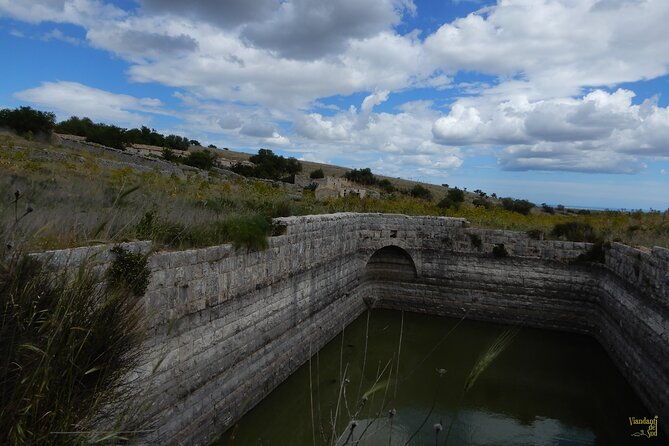 querceti-di-quasano-excursion-in-the-alta-murgia-national-park