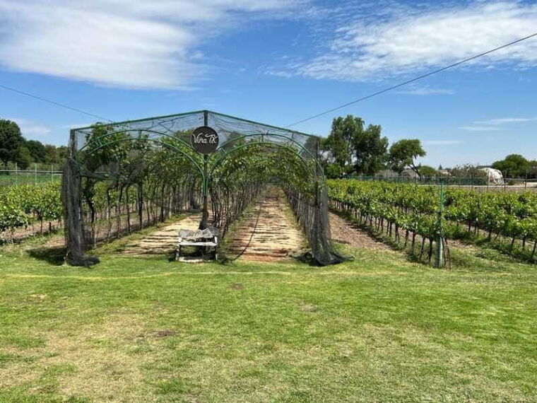 queretaro-cheese-wine-tour-in-a-day