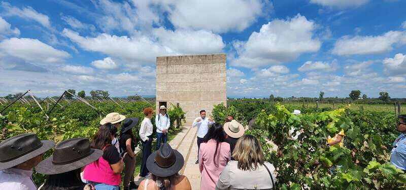Querétaro: Independence Valley - Guanajuato Wine Tour - Key Points