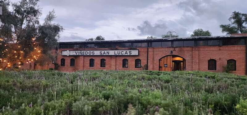 Querétaro: Independence Valley - Guanajuato Wine Tour - An In-depth Look at the Tour Experience
