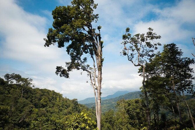 quetzal-quest-birdwatching-adventure-at-rey-tepepul-lookout