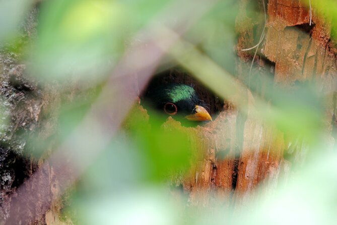 quetzal-tour-on-lake-atitlan