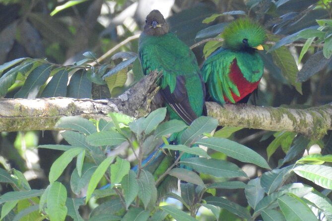 quetzal-tour-on-lake-atitlan