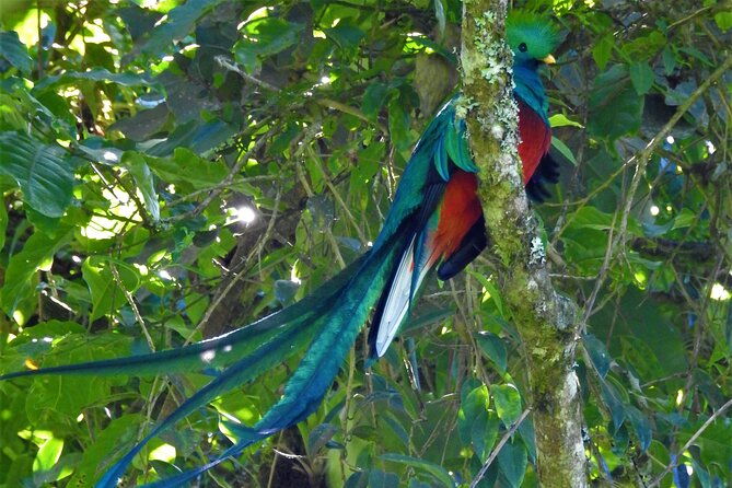 quetzal-tour-on-lake-atitlan