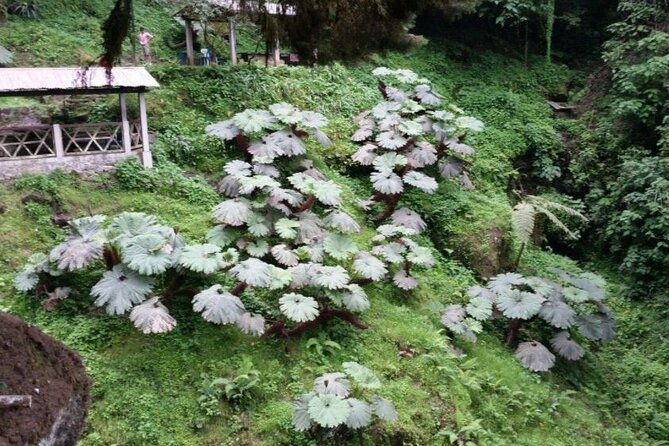 quetzaltenango-and-fuentes-georginas-hot-springs-from-panajachel