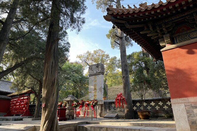 Qufu Private Walking Tour: Confucius Temple, Family Mansion and Cemetery with Lunch - Who Should Consider This Tour?