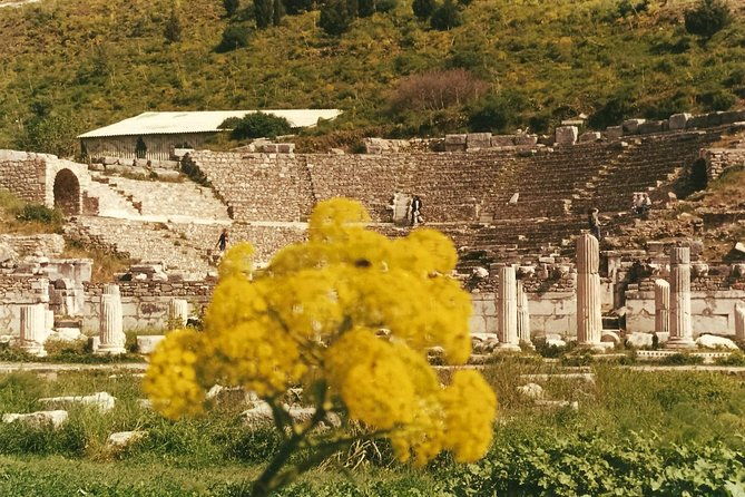 quick-ephesus-private-tour-2