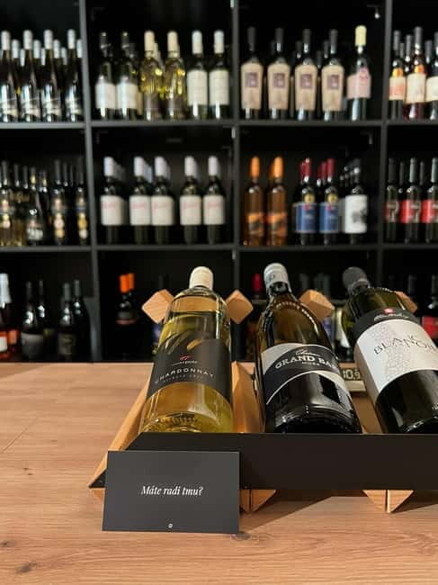 Quick Wine Tasting in Michalská - Quick Wine Tasting in Michalská: A Delightful Sip of Slovakian Flavors