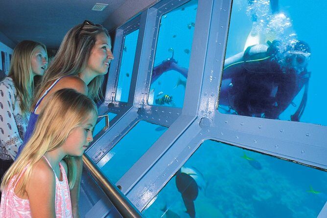 Quicksilver Outer Great Barrier Reef Snorkel Cruise from Palm Cove - An In-Depth Look at the Tour Experience