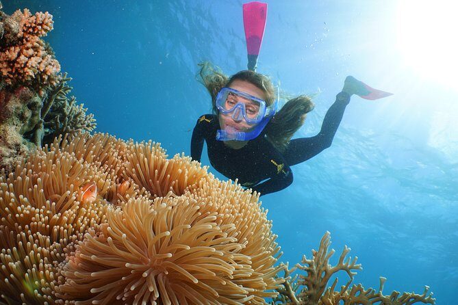 Quicksilver Outer Great Barrier Reef Snorkel Cruise from Palm Cove - Authentic Experiences from Past Travelers