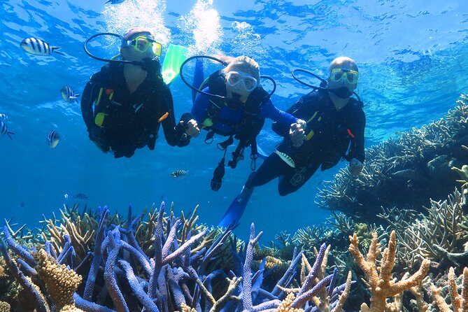 Quicksilver Outer Great Barrier Reef Snorkel Cruise from Palm Cove - Who It’s Best For