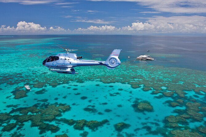 Quicksilver Pontoon and 10 Minute Scenic Helicopter Flight - A Complete Look at Quicksilver’s Pontoon and Helicopter Experience in Port Douglas
