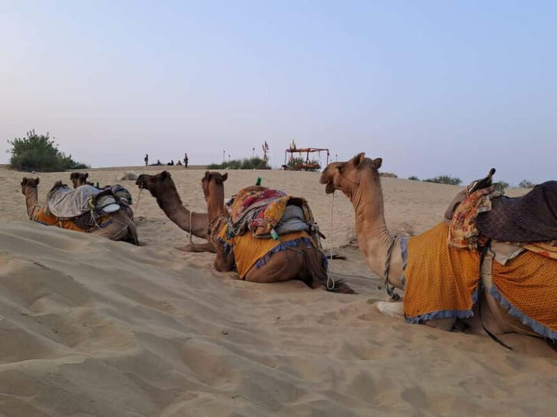 Quiet & Peaceful Night At Luxury Desert Camp - FAQ