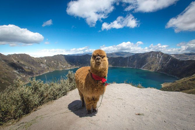 quilotoa-lagoon-and-indian-markets-in-one-day-from-quito