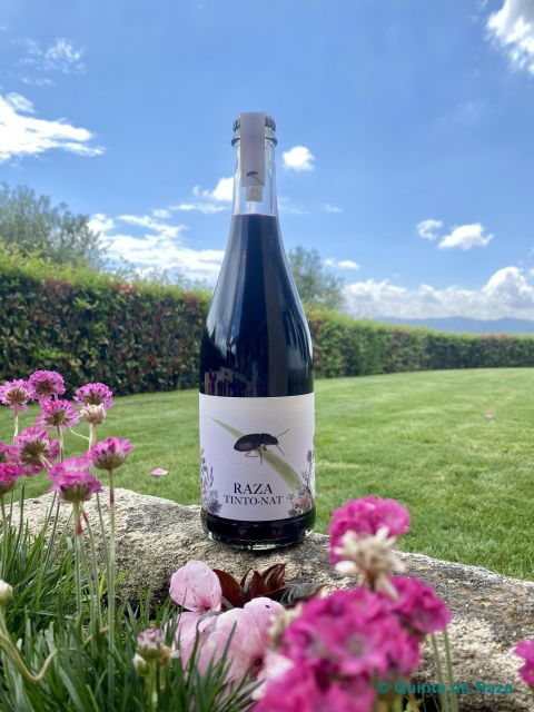 quinta-da-raza-natural-wines
