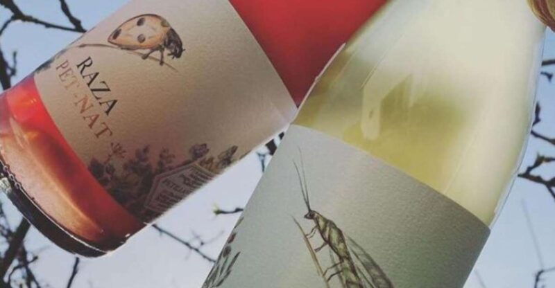 quinta-da-raza-natural-wines