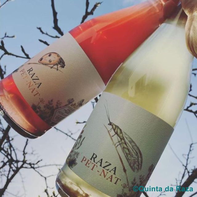 quinta-da-raza-natural-wines