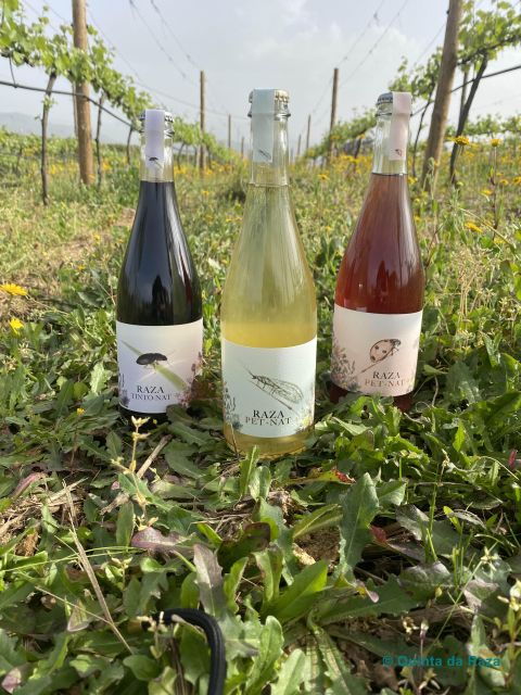 quinta-da-raza-natural-wines