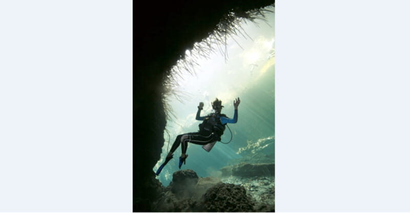 Quintana Roo: Cenote Dive - Key Points