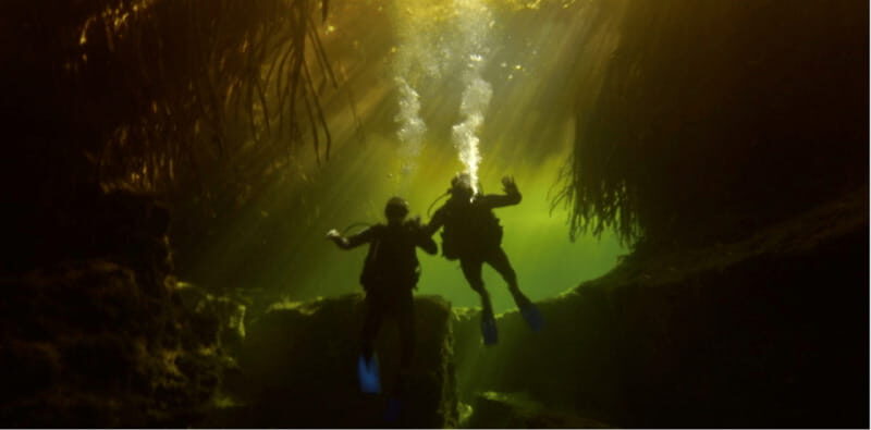 Quintana Roo: Cenote Dive - Pricing and Value