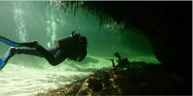 Quintana Roo: Cenote Dive - Who Will Love This Tour?