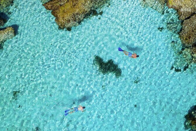 Quokkas Delight Rottnest Island - An In-Depth Look at the Itinerary