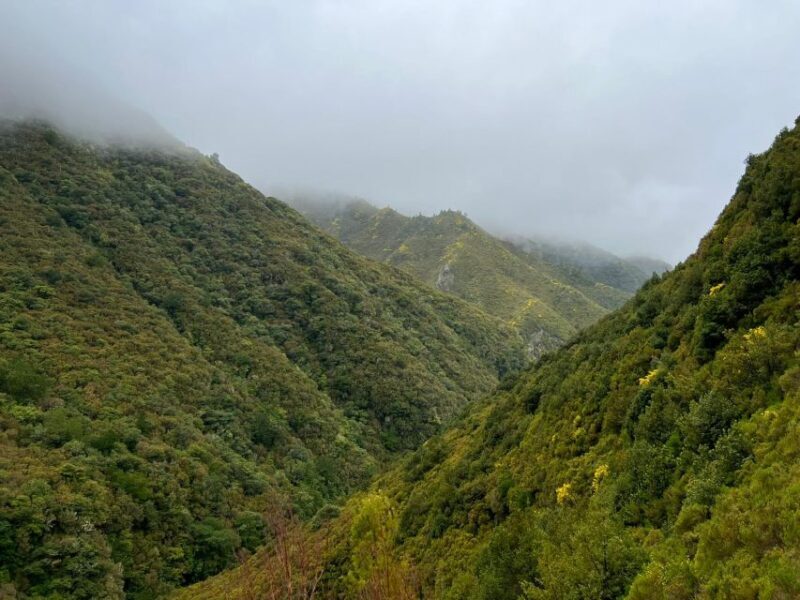 Rabaçal: 25 Fontes & Risco Levada Hiking Transfer - Transportation & Group Size