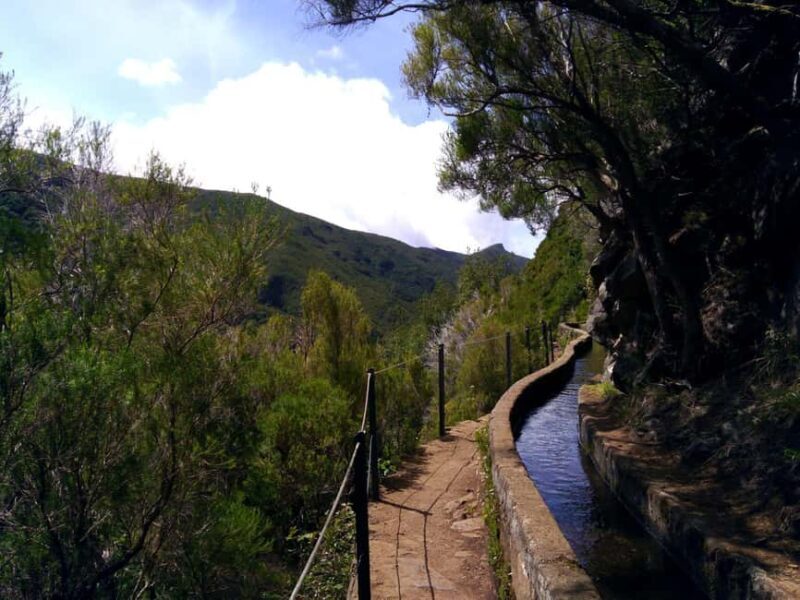 Rabaçal: 25 Fontes & Risco Levada Hiking Transfer - What’s Included & What to Bring