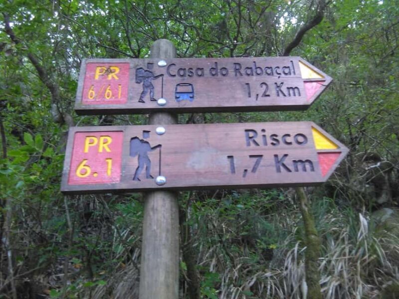Rabaçal: 25 Fontes & Risco Levada Hiking Transfer - The Value of the Experience