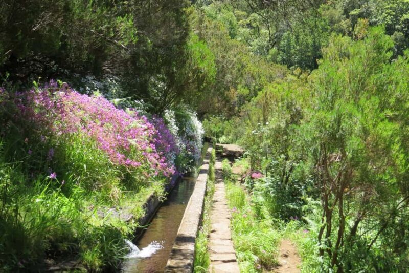 Rabaçal: 25 Fontes & Risco Levada Hiking Transfer - Considerations & Tips
