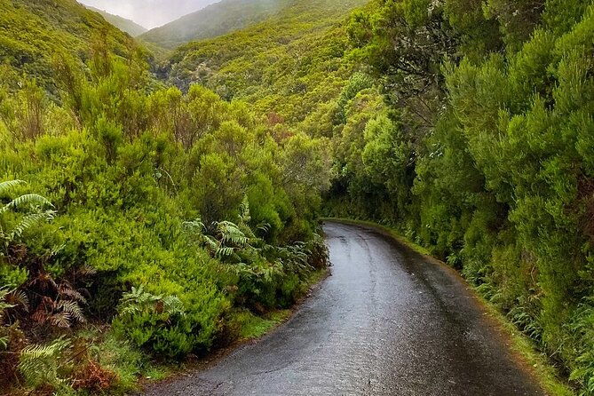 rabacal-hike-25-fontes-risco-levada-self-guided