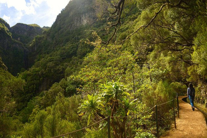 rabacal-levada-das-15-fontes