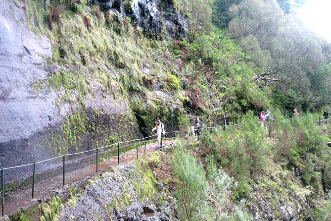 rabacal-risco-25-sources-levada-walk-2