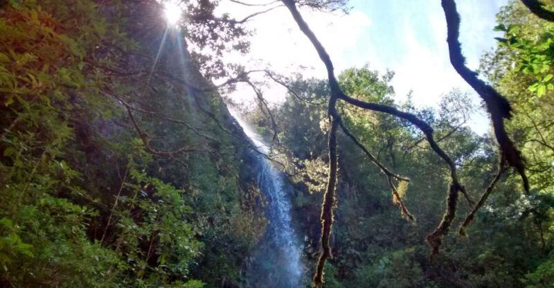 rabacal-wind-lagoon-risco-levada-and-25-fontes-levada