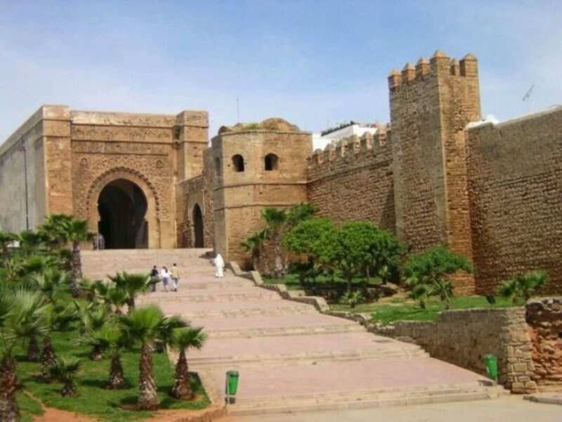 Rabat: Guided City Tour with Mausoleum Mohammed V Visit - Who Should Book This Tour?