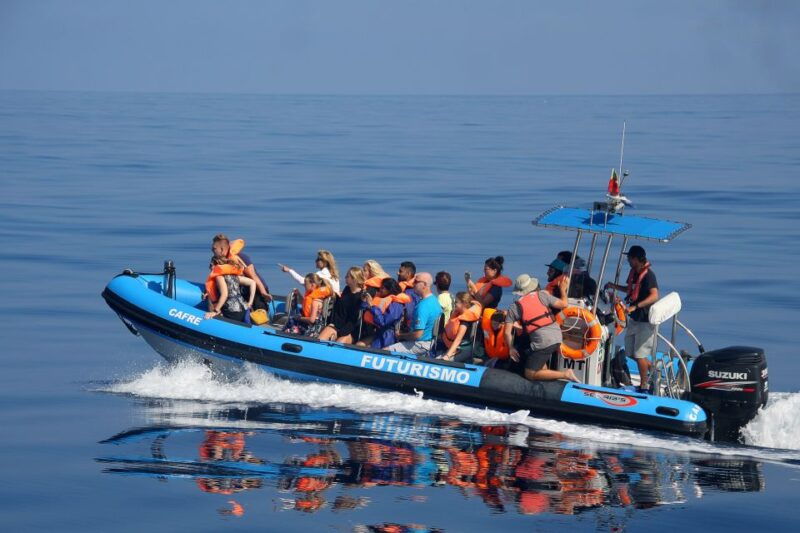 rabo-de-peixe-sperm-whale-sanctuary-expedition