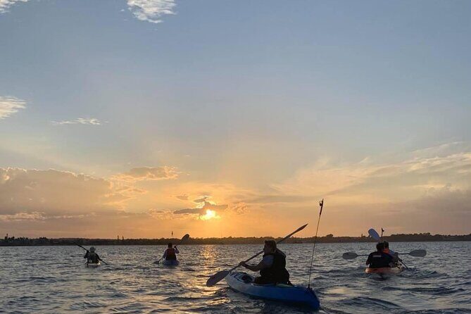 Raby Bay Wildlife Kayak Tour - A Closer Look at the Kayak Adventure